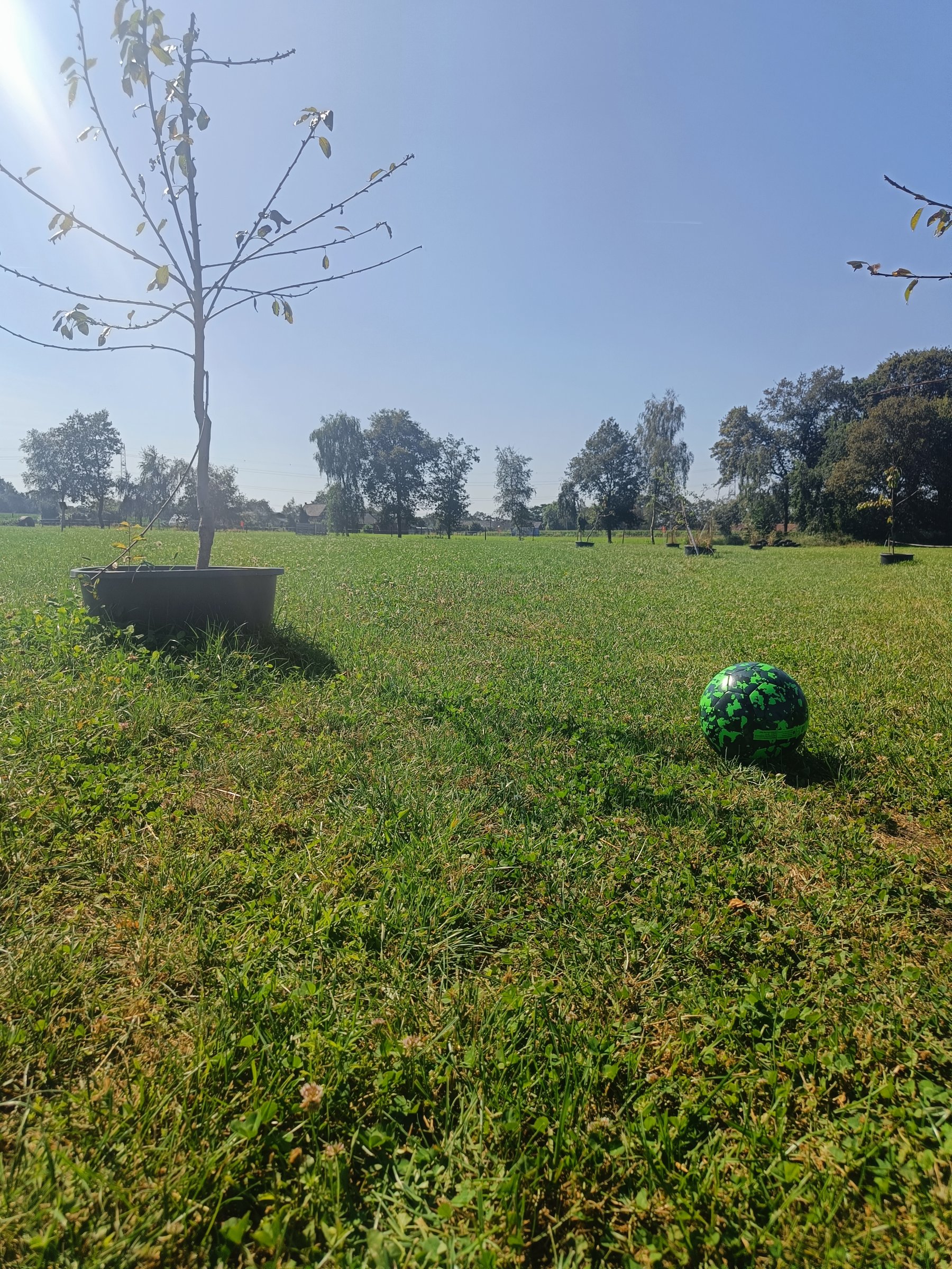 Goalfland Eksel