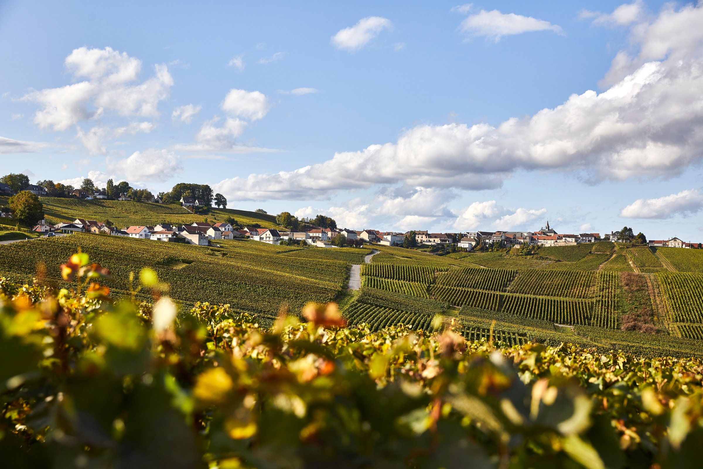 Domaine Voirin-Jumel