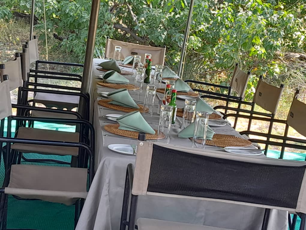 Luxury Full‑Day Chobe Safari
