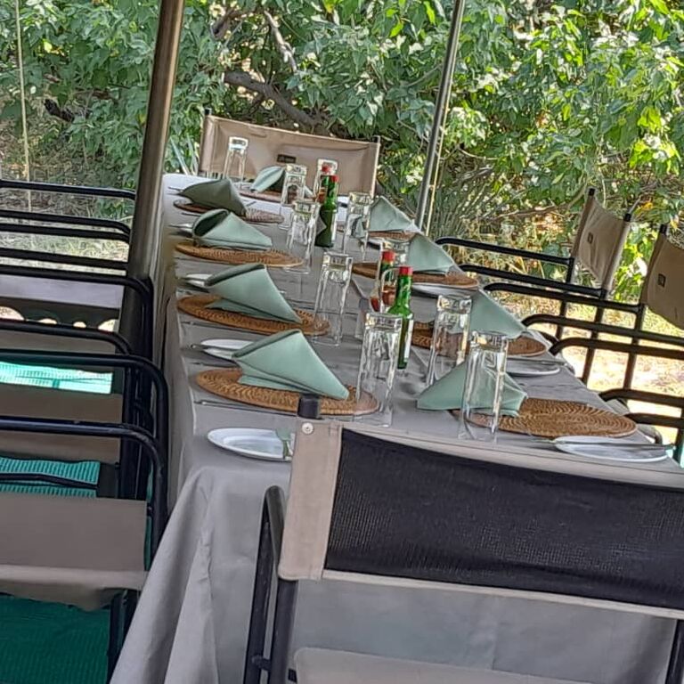 Luxury Full‑Day Chobe Safari
