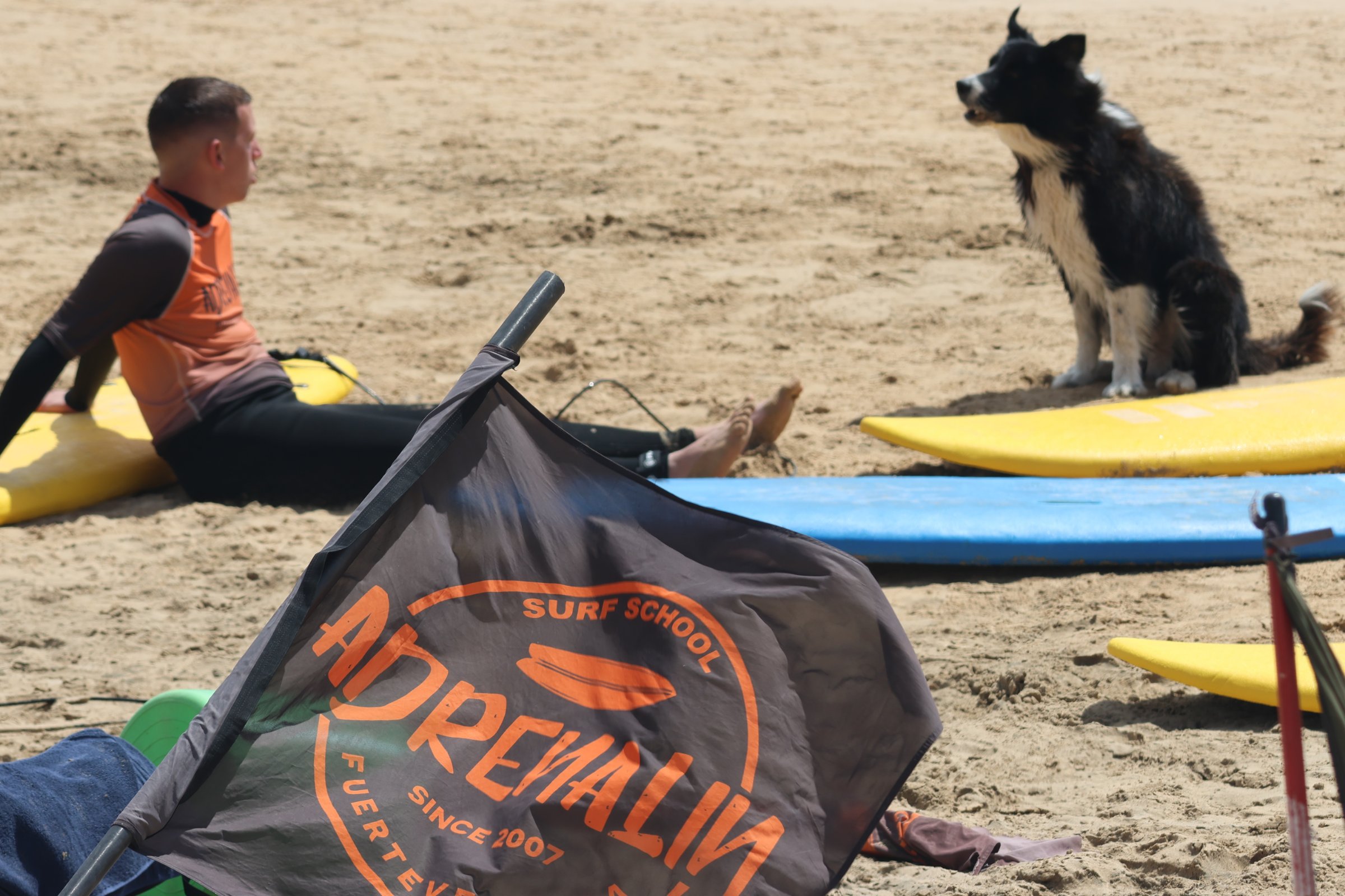 Adrenalin Surfschool Canarias