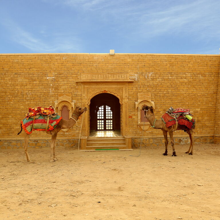 Exotic Luxury Camps