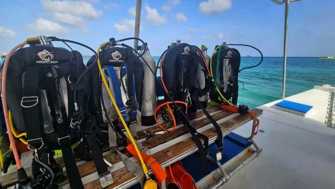 Deefer Diving Carriacou