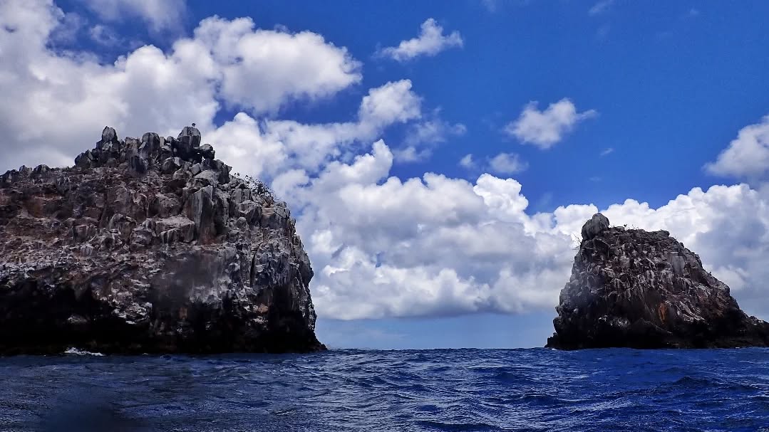 Deefer Diving Carriacou