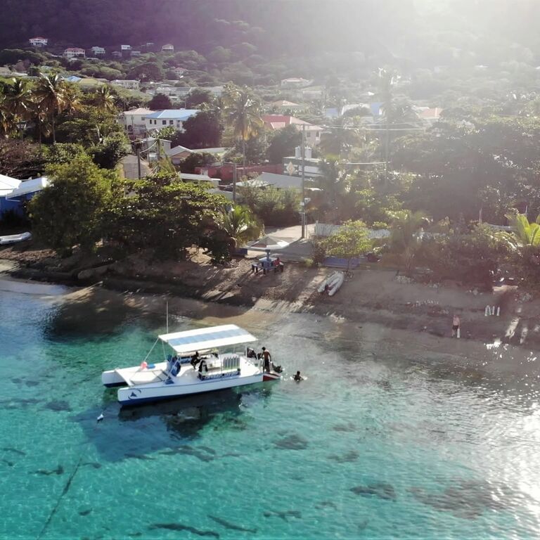 Deefer Diving Carriacou