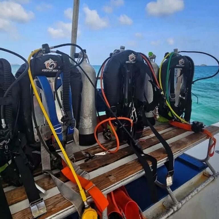 Deefer Diving Carriacou