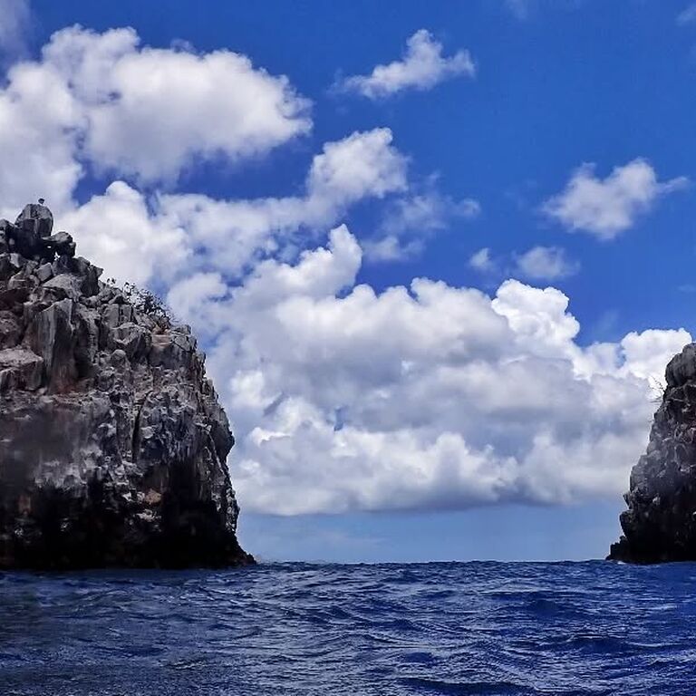 Deefer Diving Carriacou