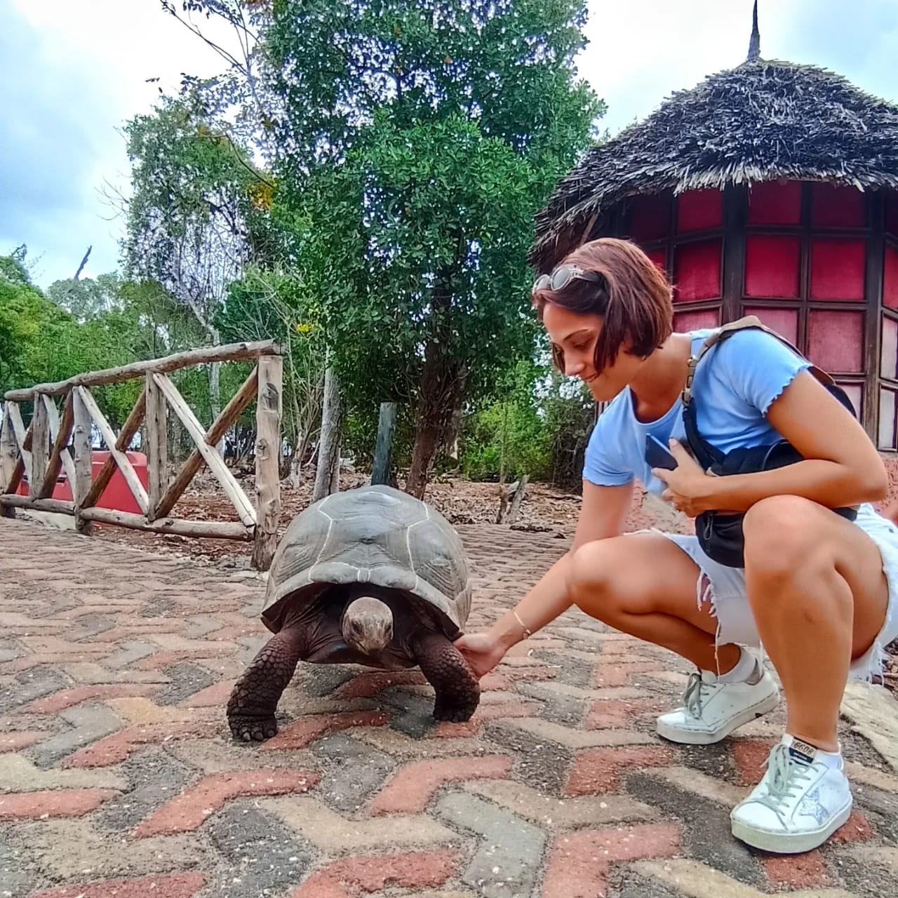 Cheichei Zanzibar Tours&Safari