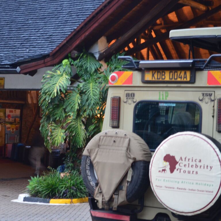 Africa Celebrity Tours