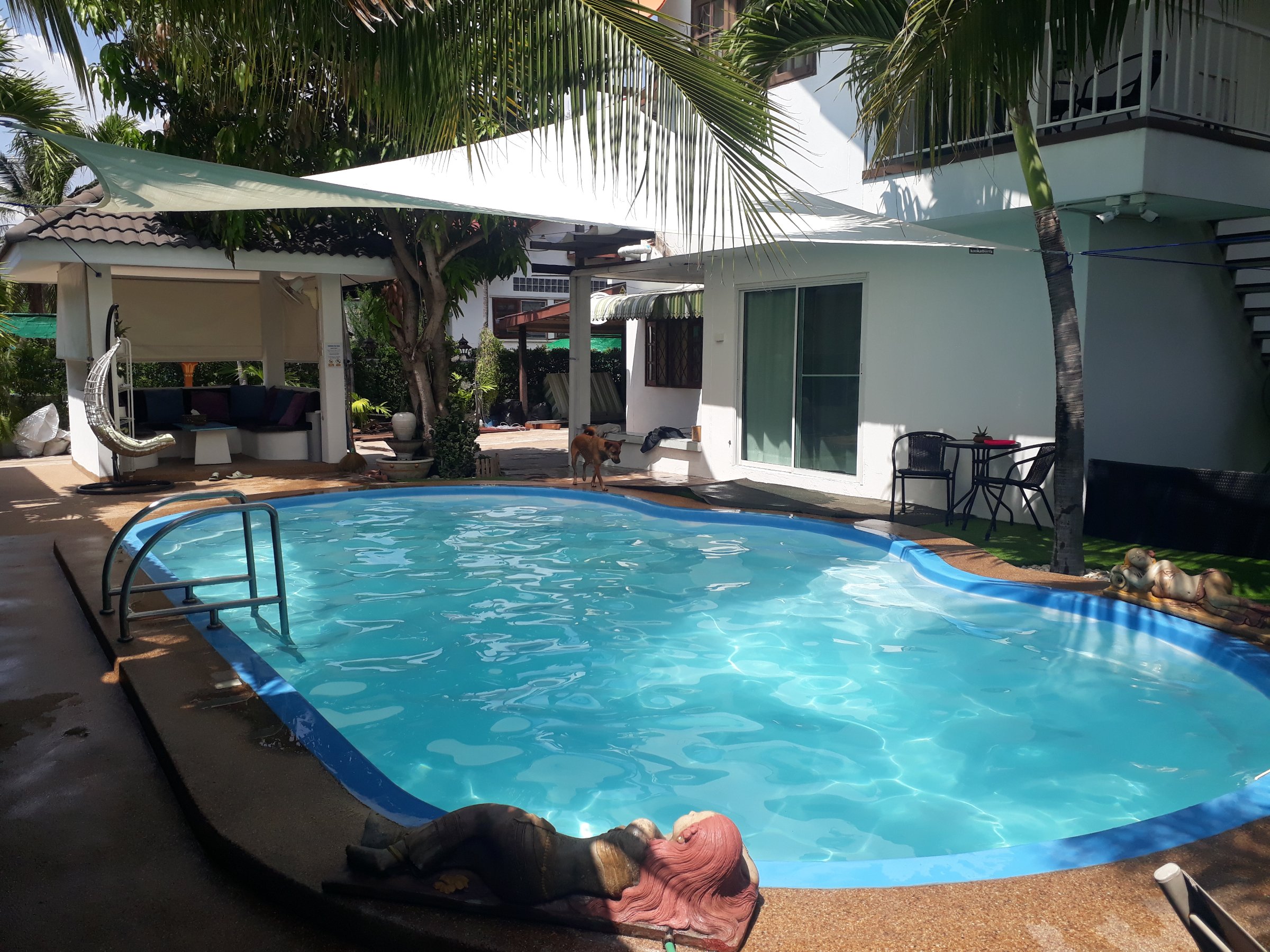 Coconut Palms