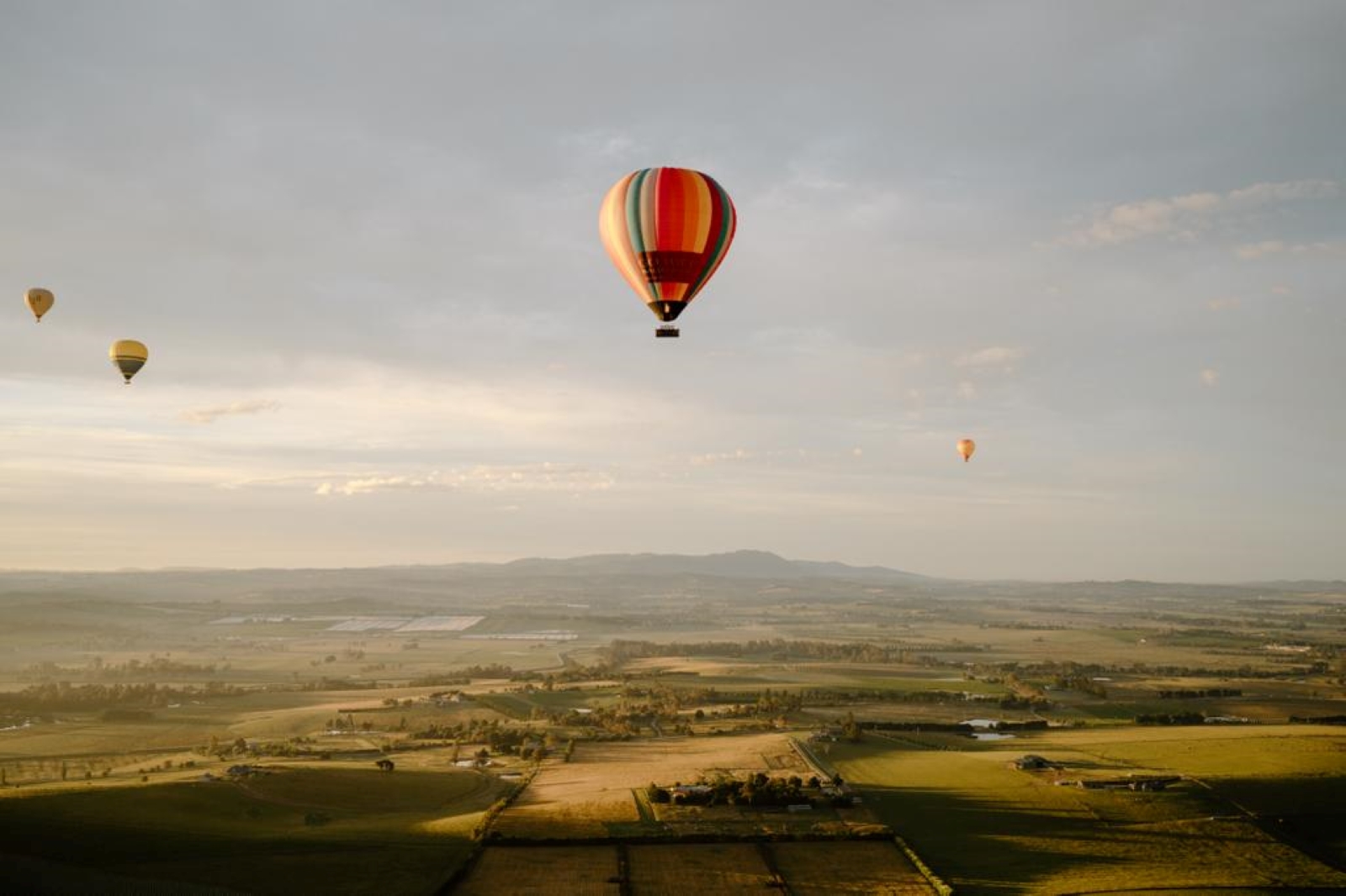 Go Wild Ballooning