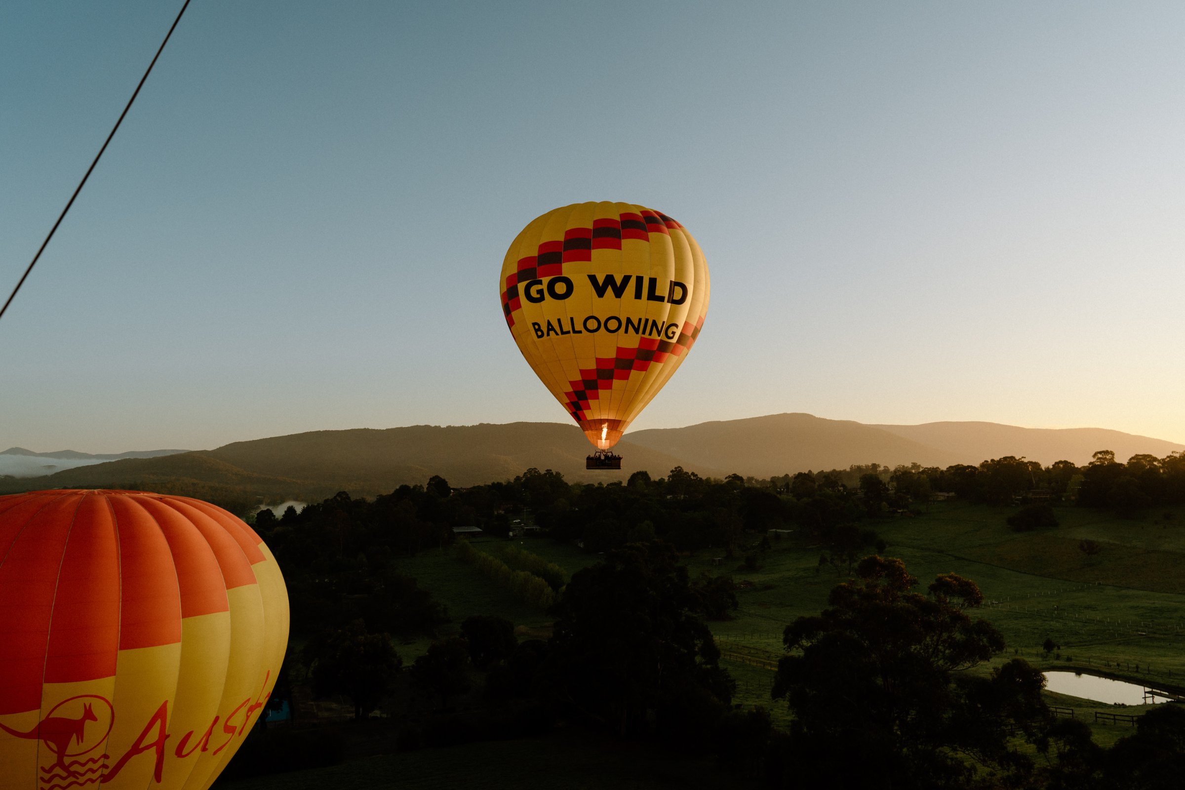 Go Wild Ballooning
