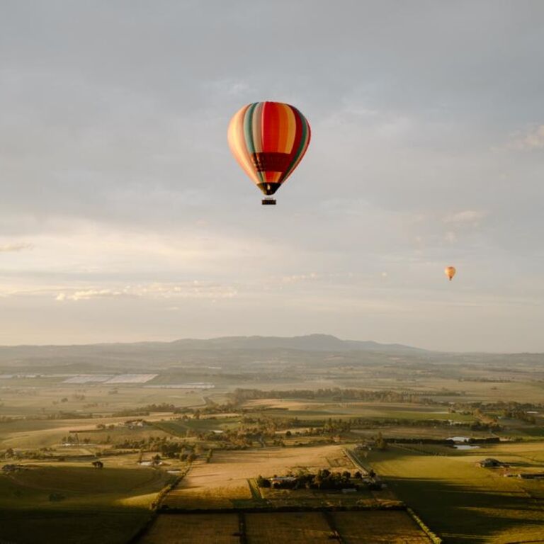 Go Wild Ballooning
