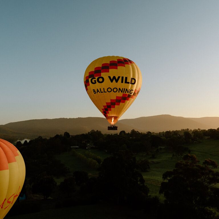 Go Wild Ballooning