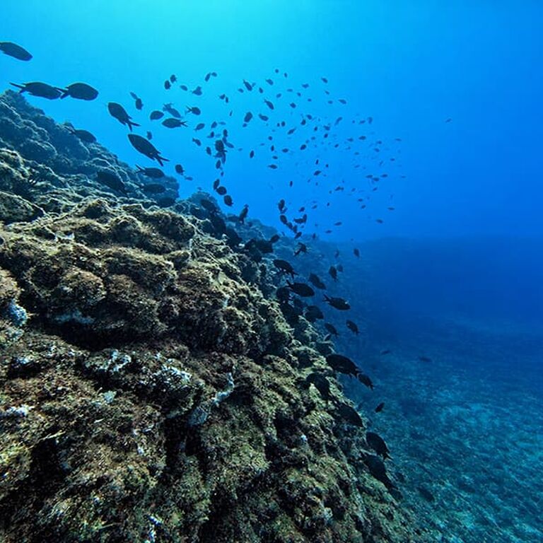 Bubbles - Club for Divers