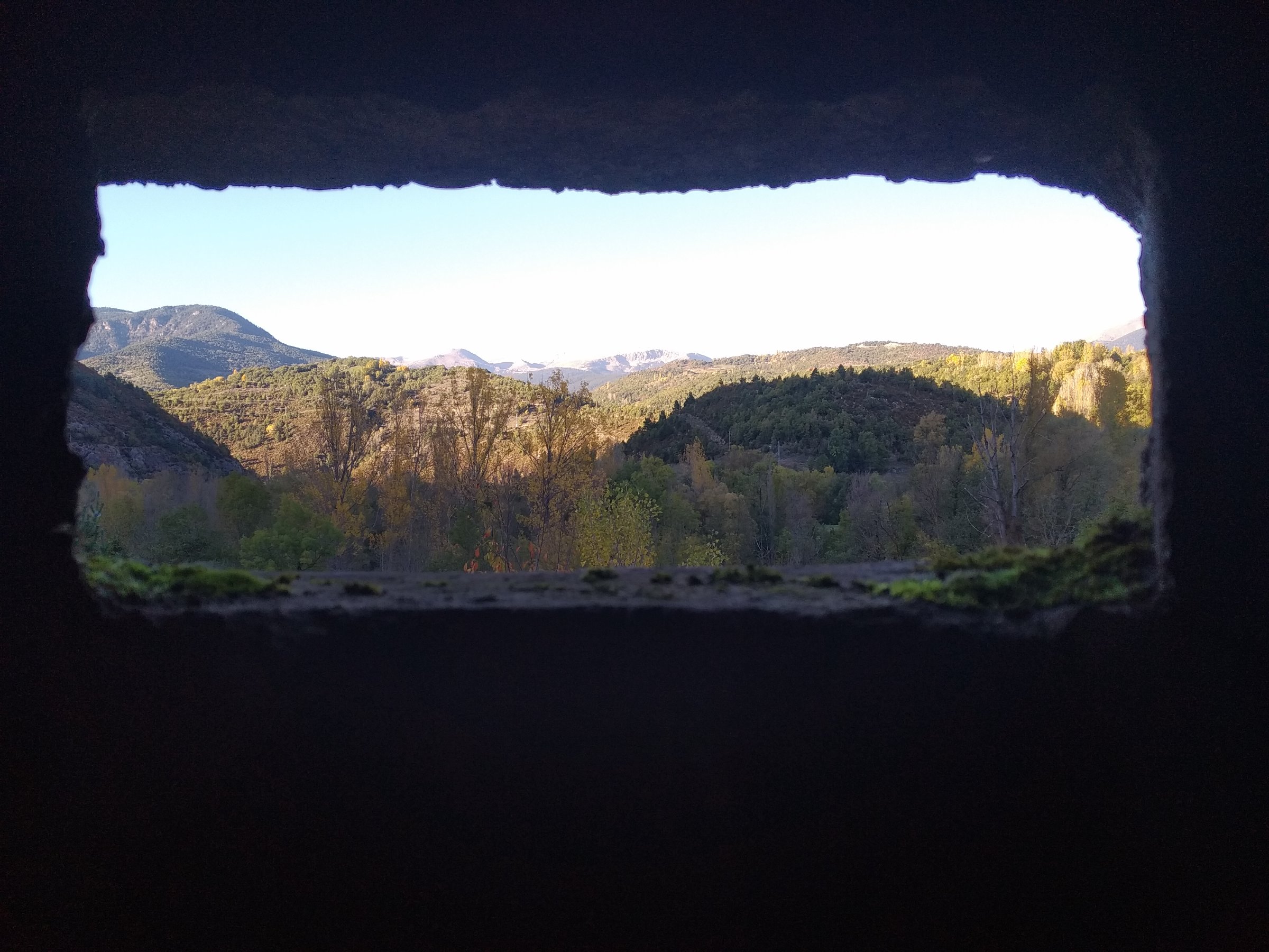 Parc dels Búnquers de Martinet