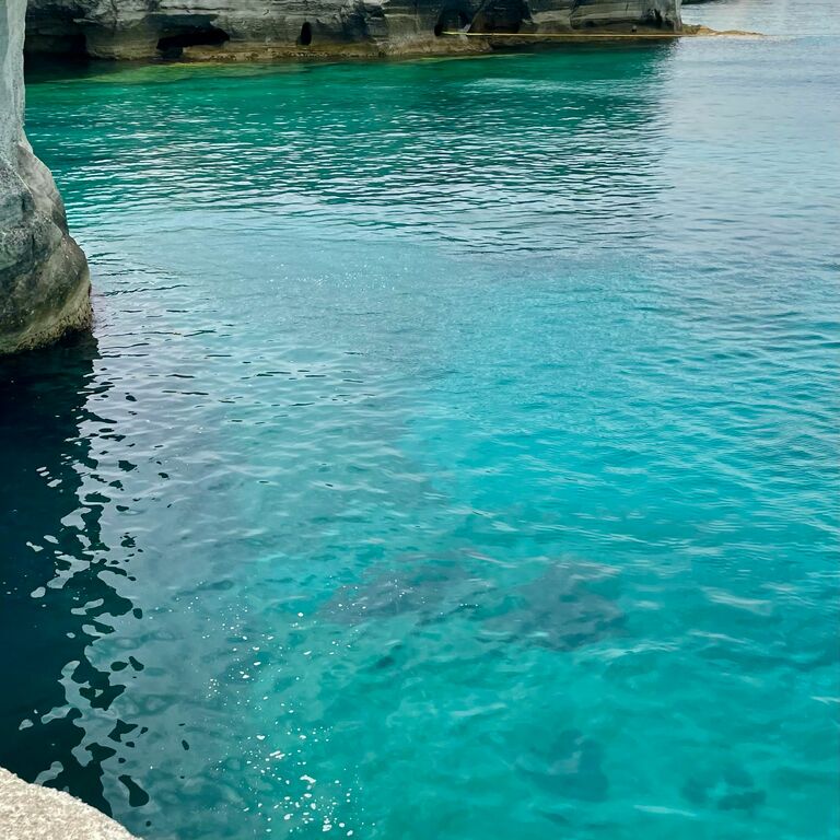 Greek Dream Tours