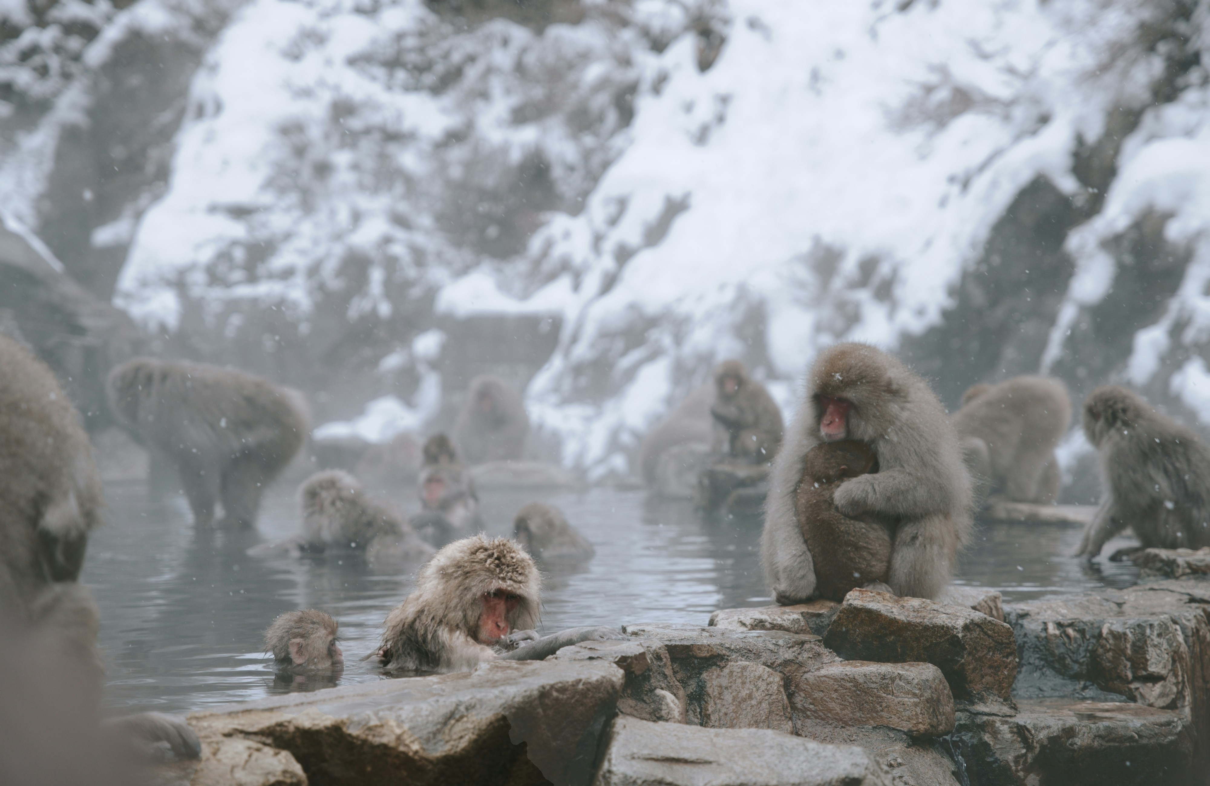 Trip Japan