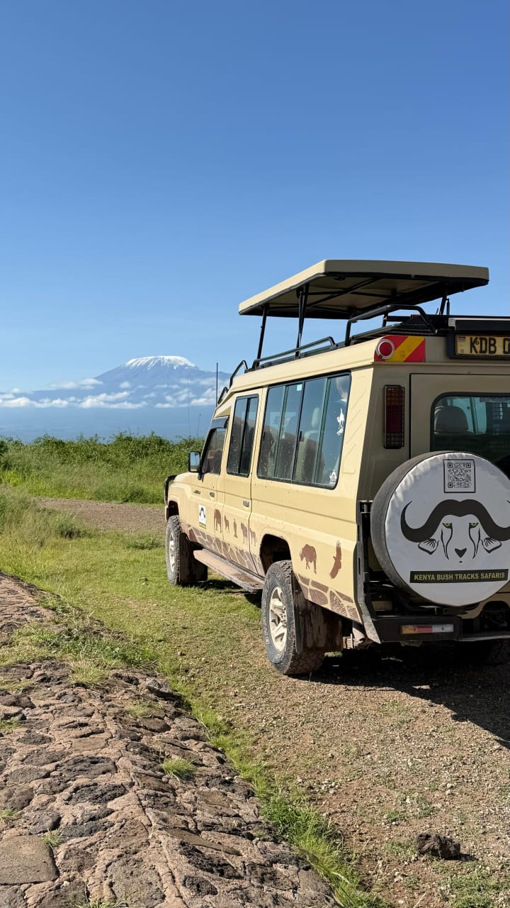 Kenya Bush Tracks Com