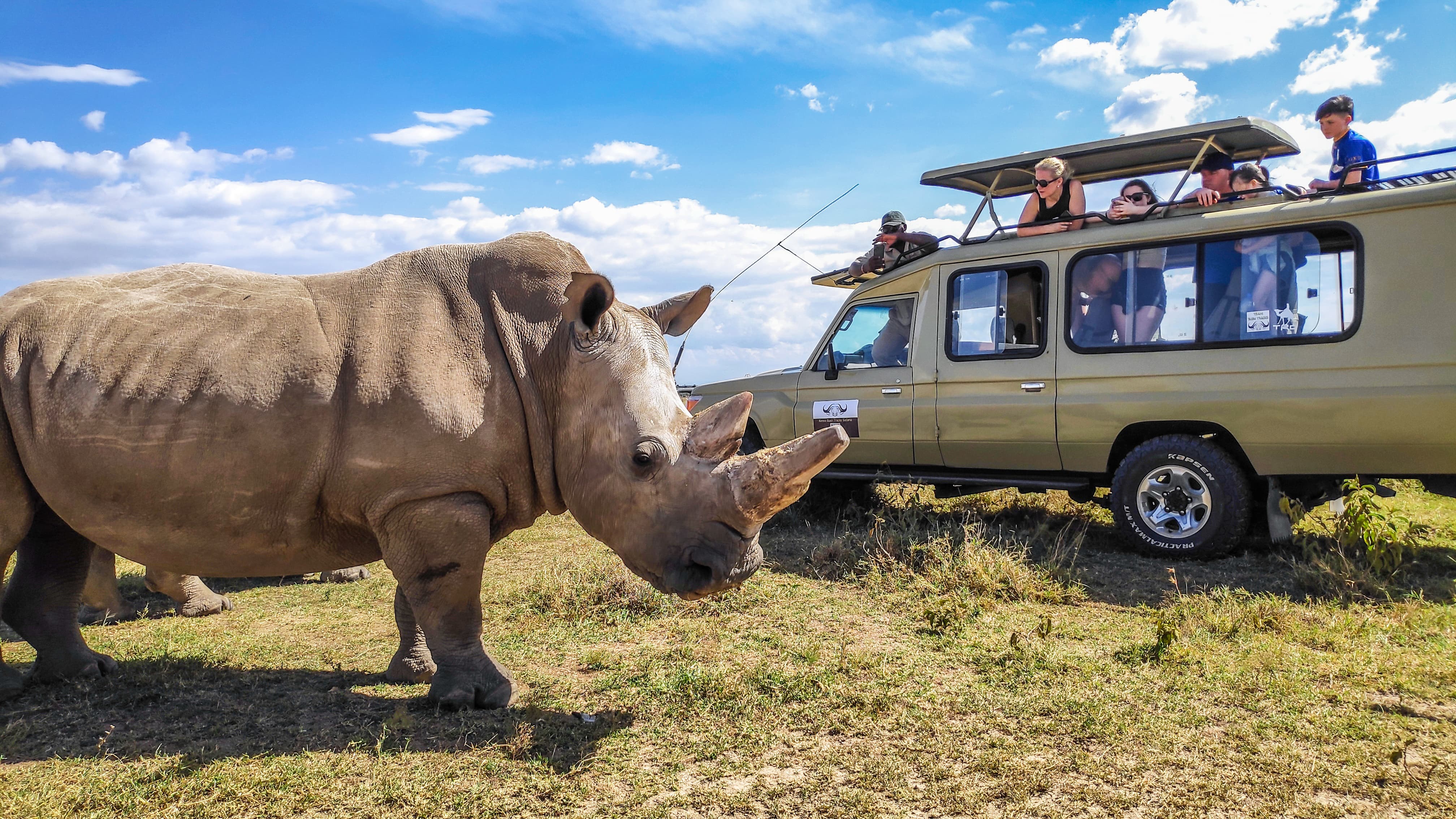Kenya Bush Tracks Com