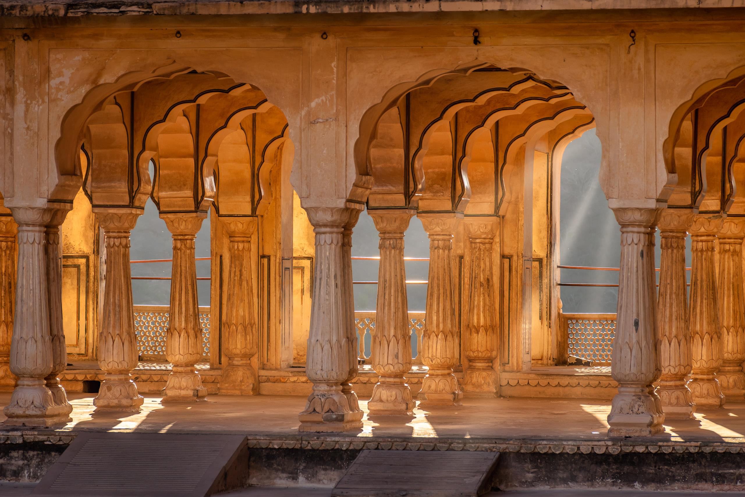 Rajasthan Safaris
