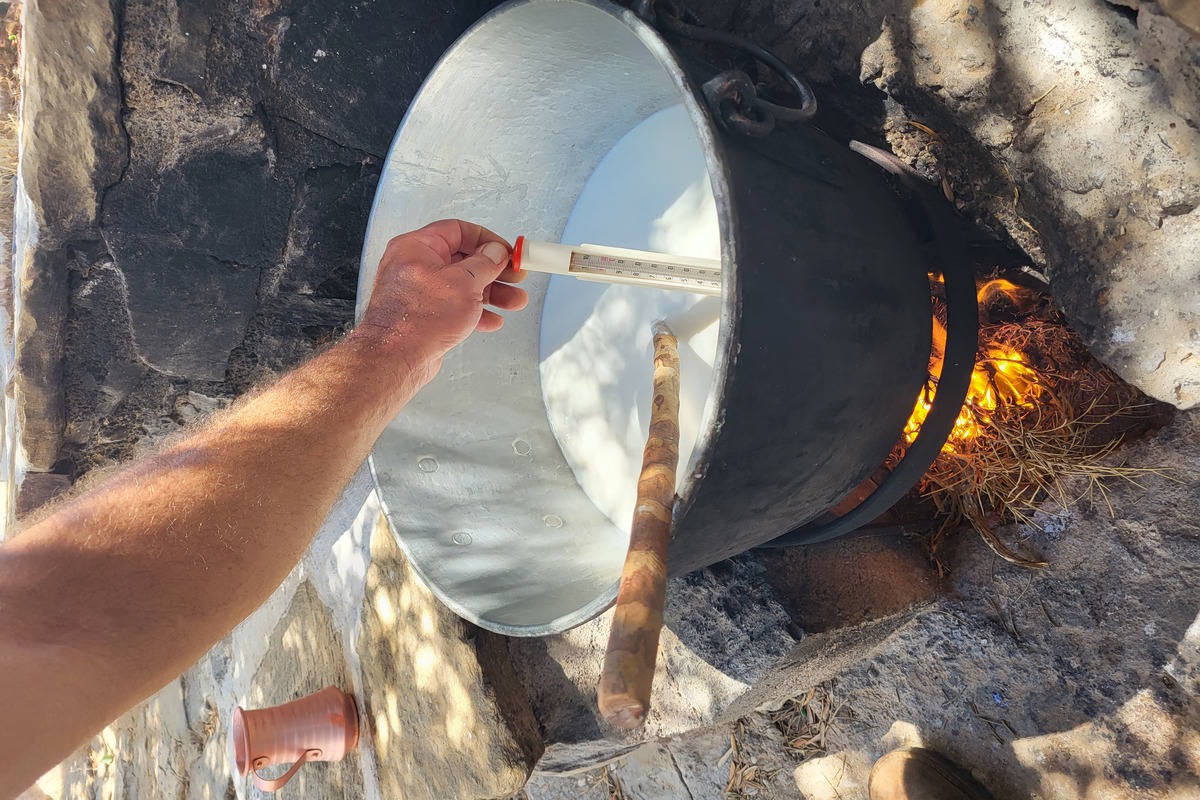 AURELIA e-assist Bikes