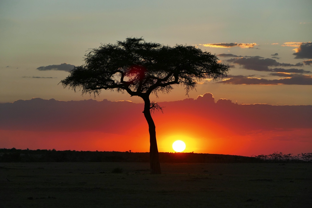 CHUI-Tours afrika safaris GmbH
