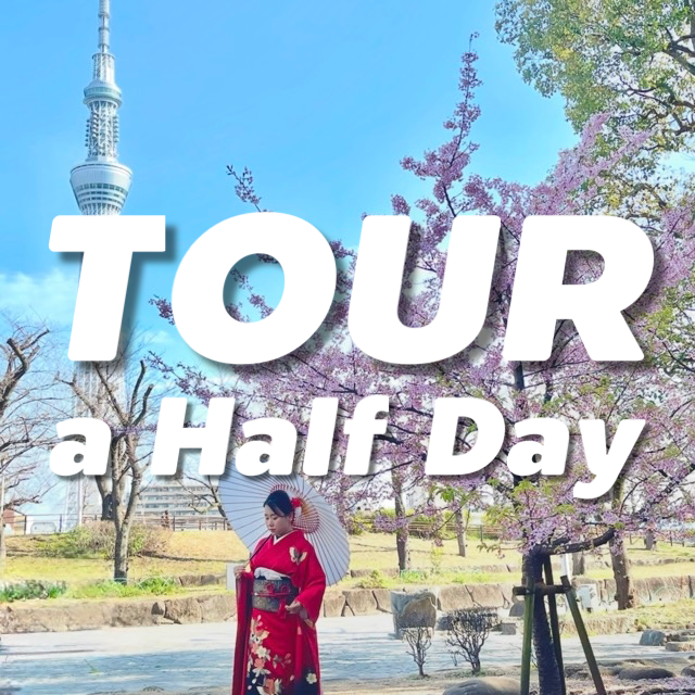 iTokyo Travel