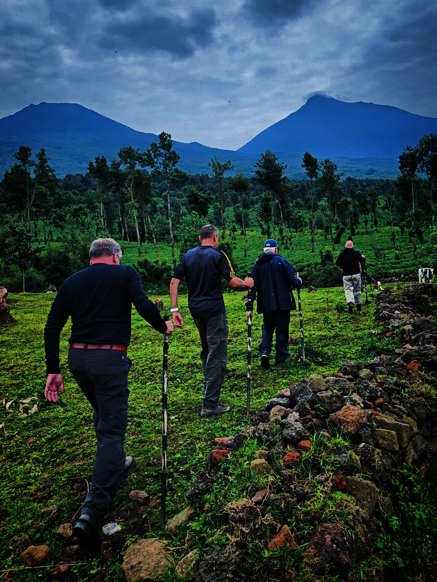 Eco Terra Vista Tours