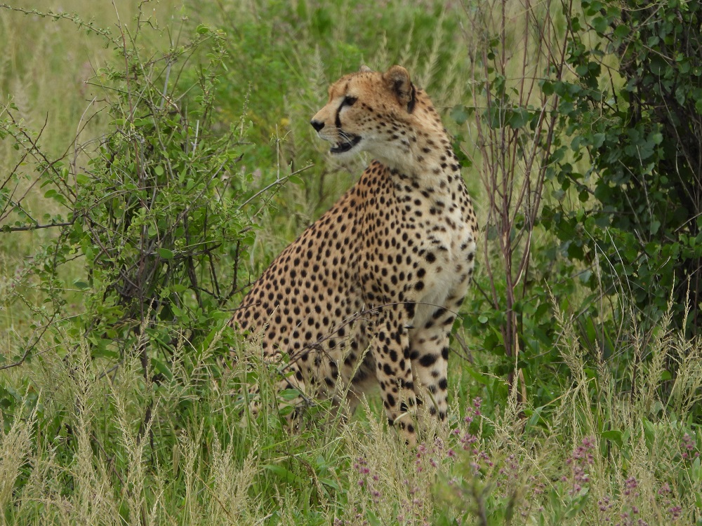 Nature Trails East Africa