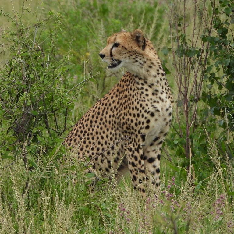 Nature Trails East Africa