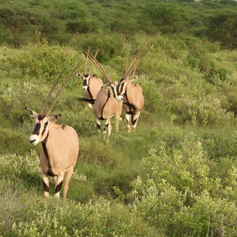 Nature Trails East Africa