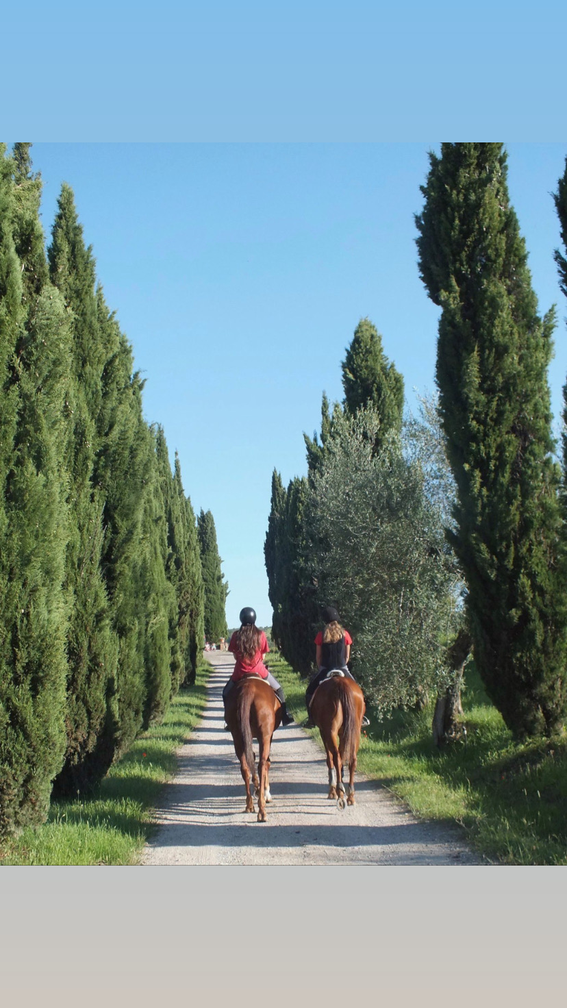 Il Cavalleggero
