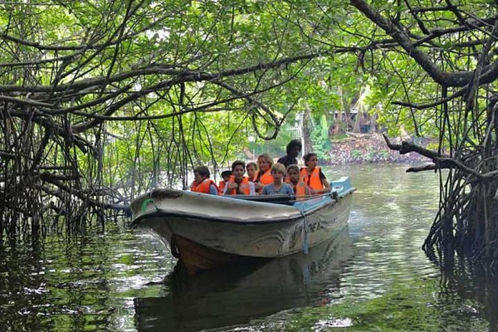 TravelBug Ceylon