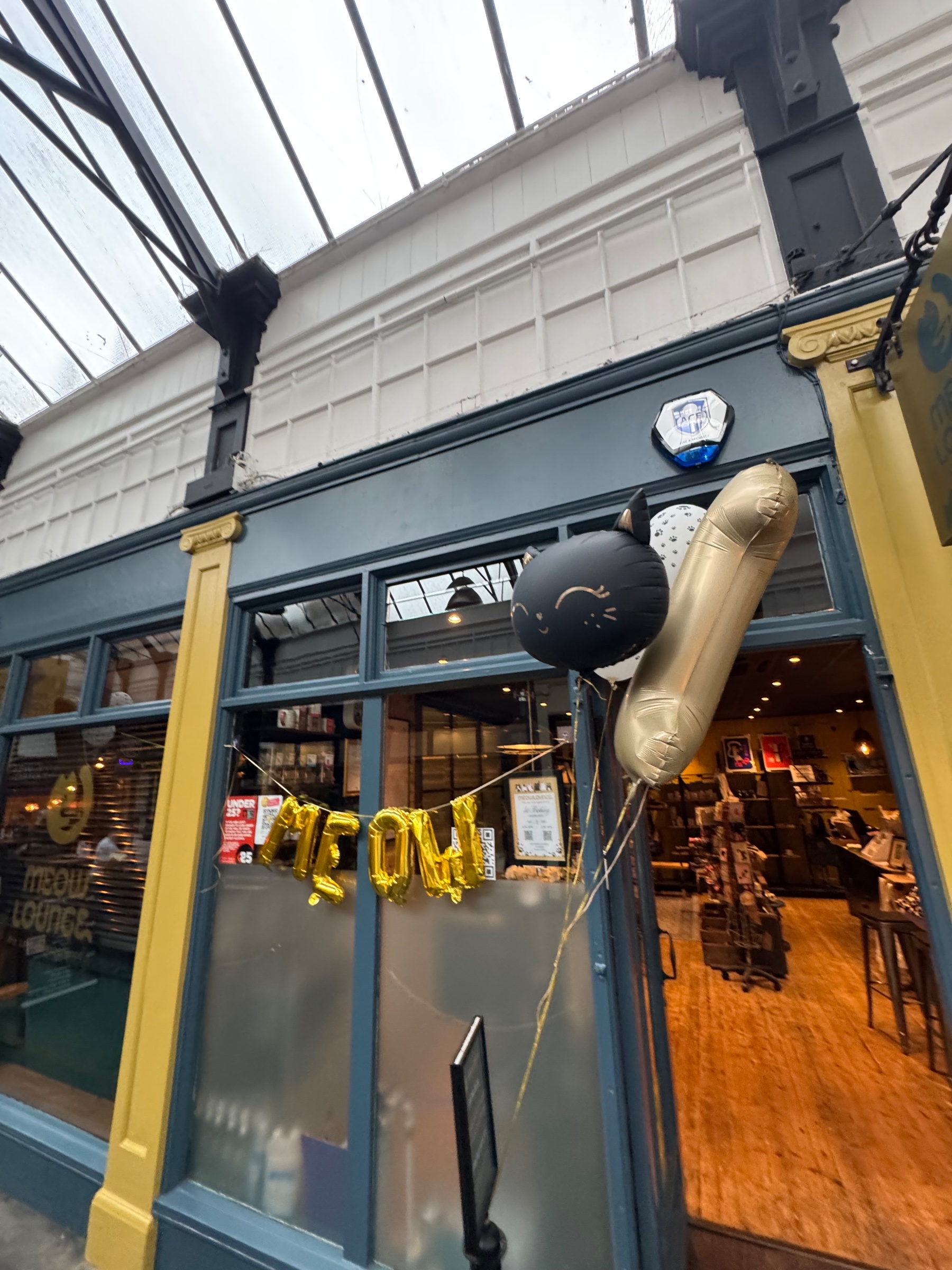 Meow Lounge
