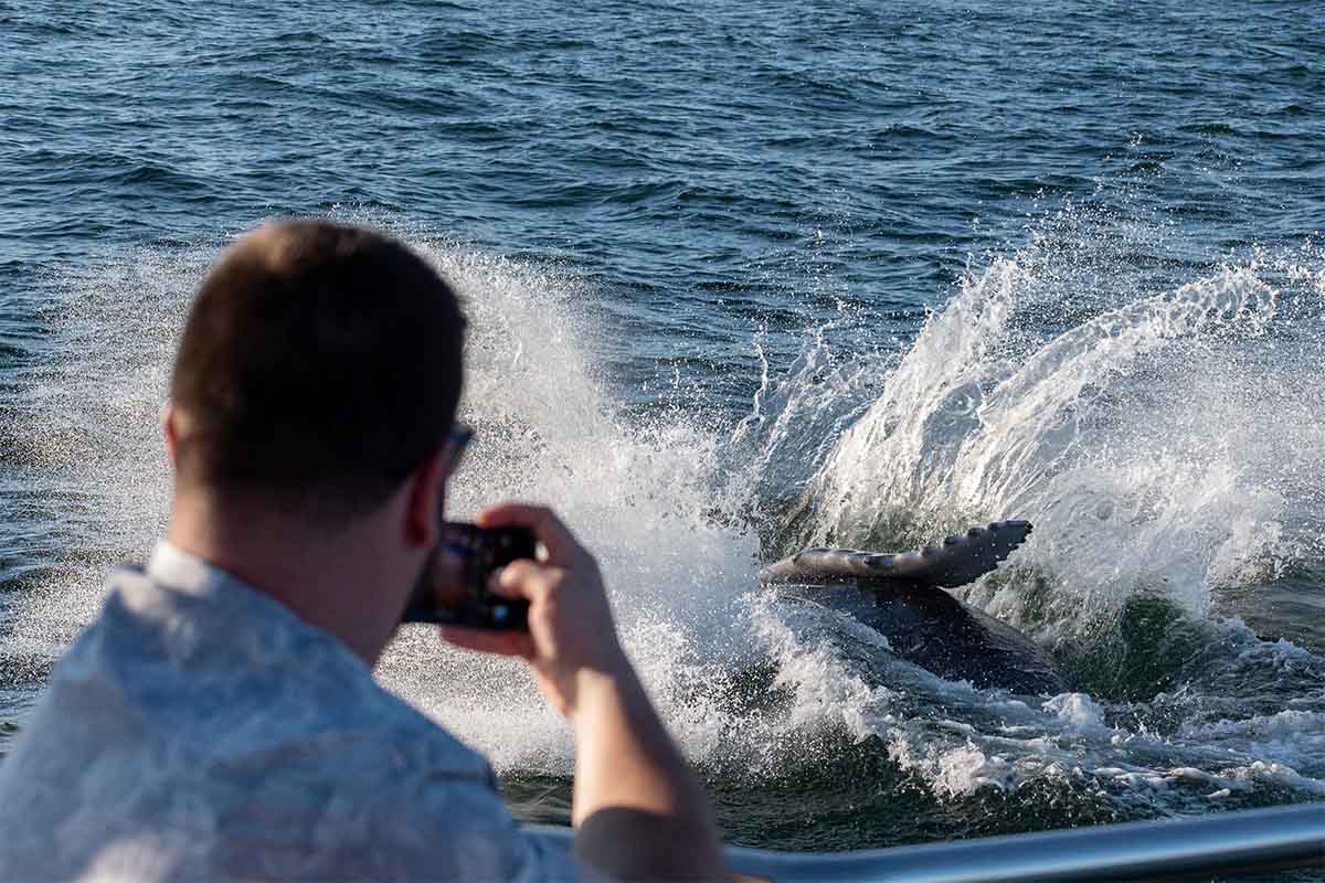 Mike's Fishing & Tours