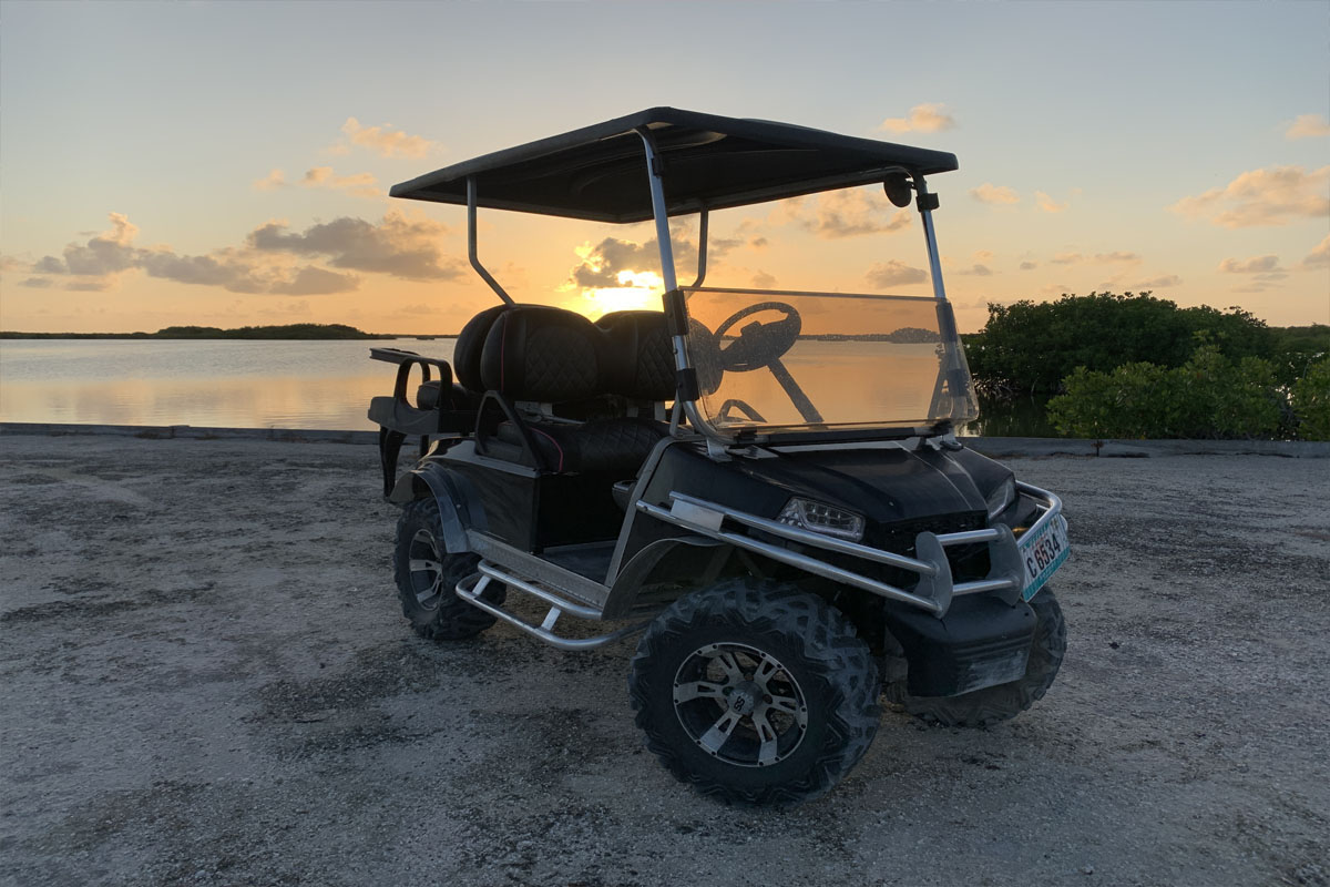Island Cruiser Cart Rentas