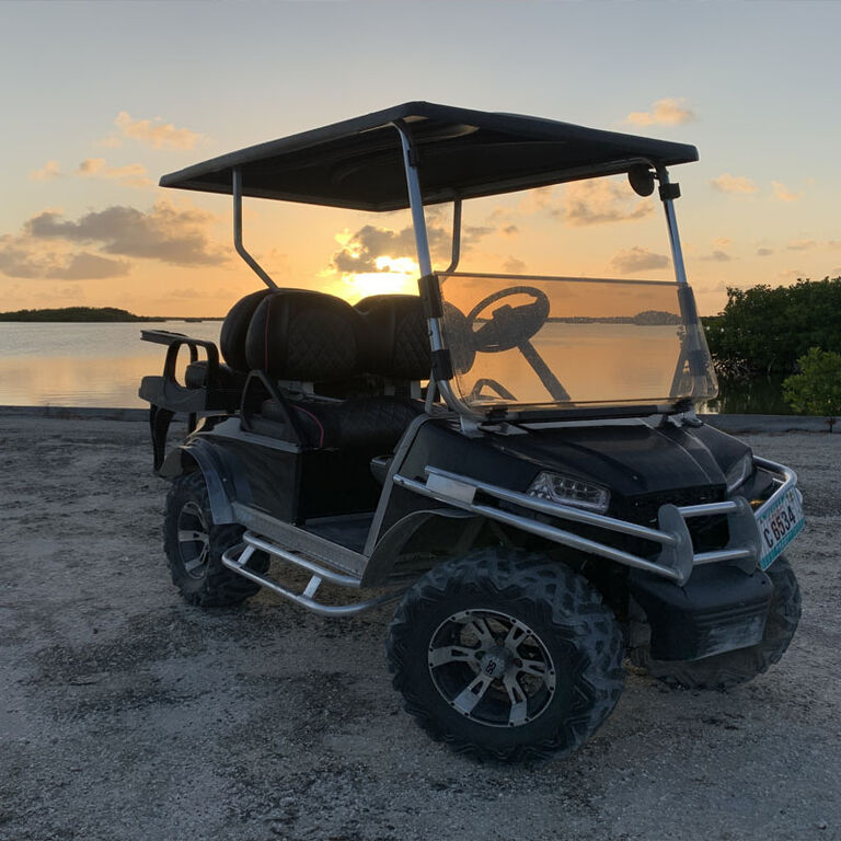 Island Cruiser Cart Rentas