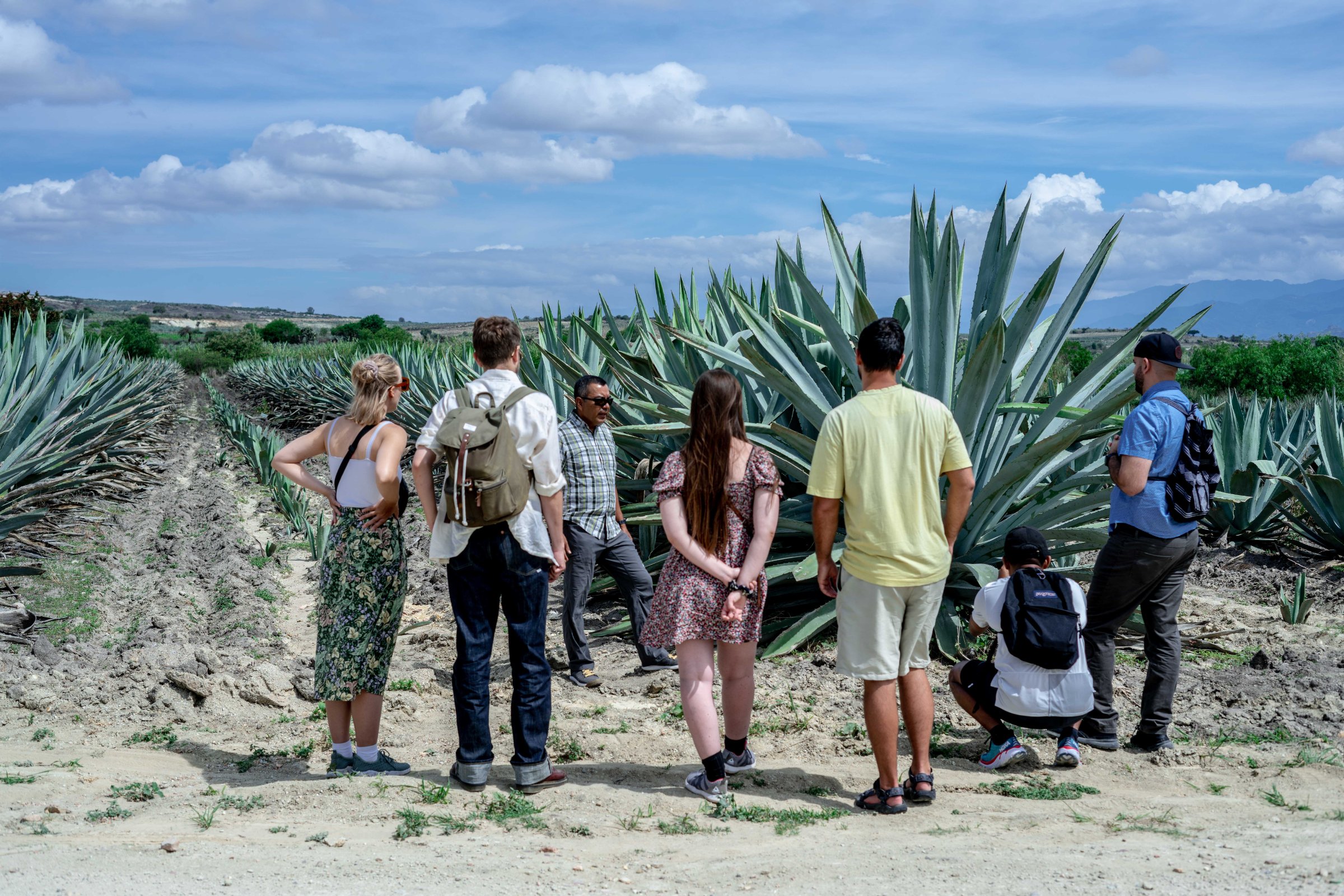 Las Bugambilias Tours
