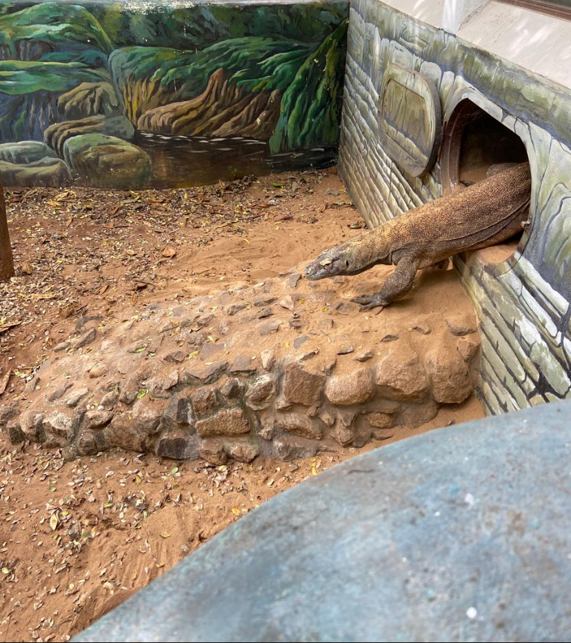 Madras Crocodile Bank Trust
