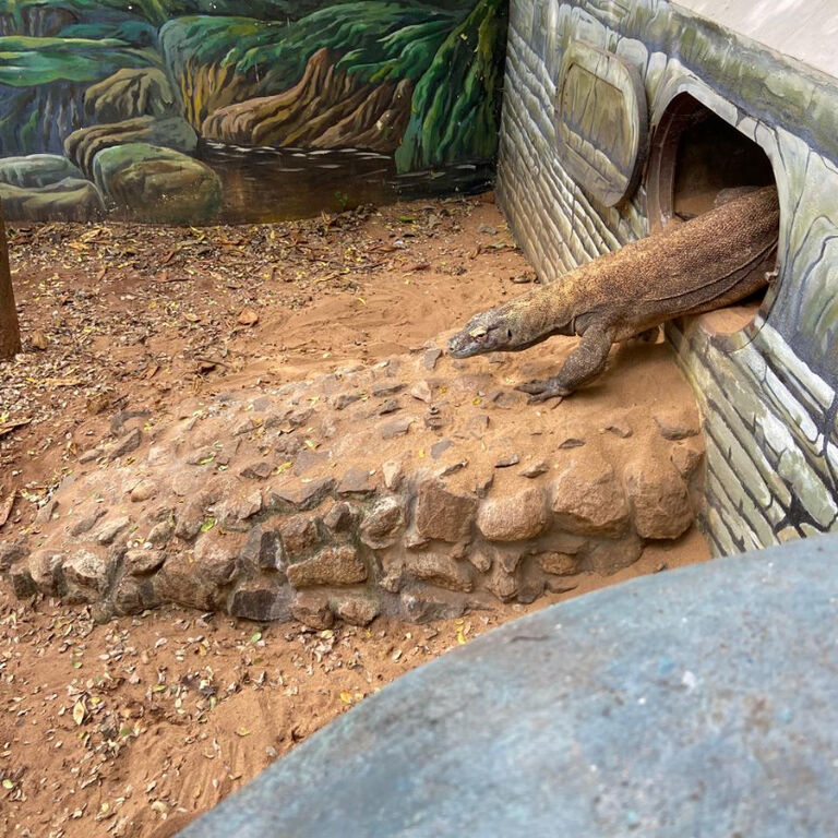 Madras Crocodile Bank Trust