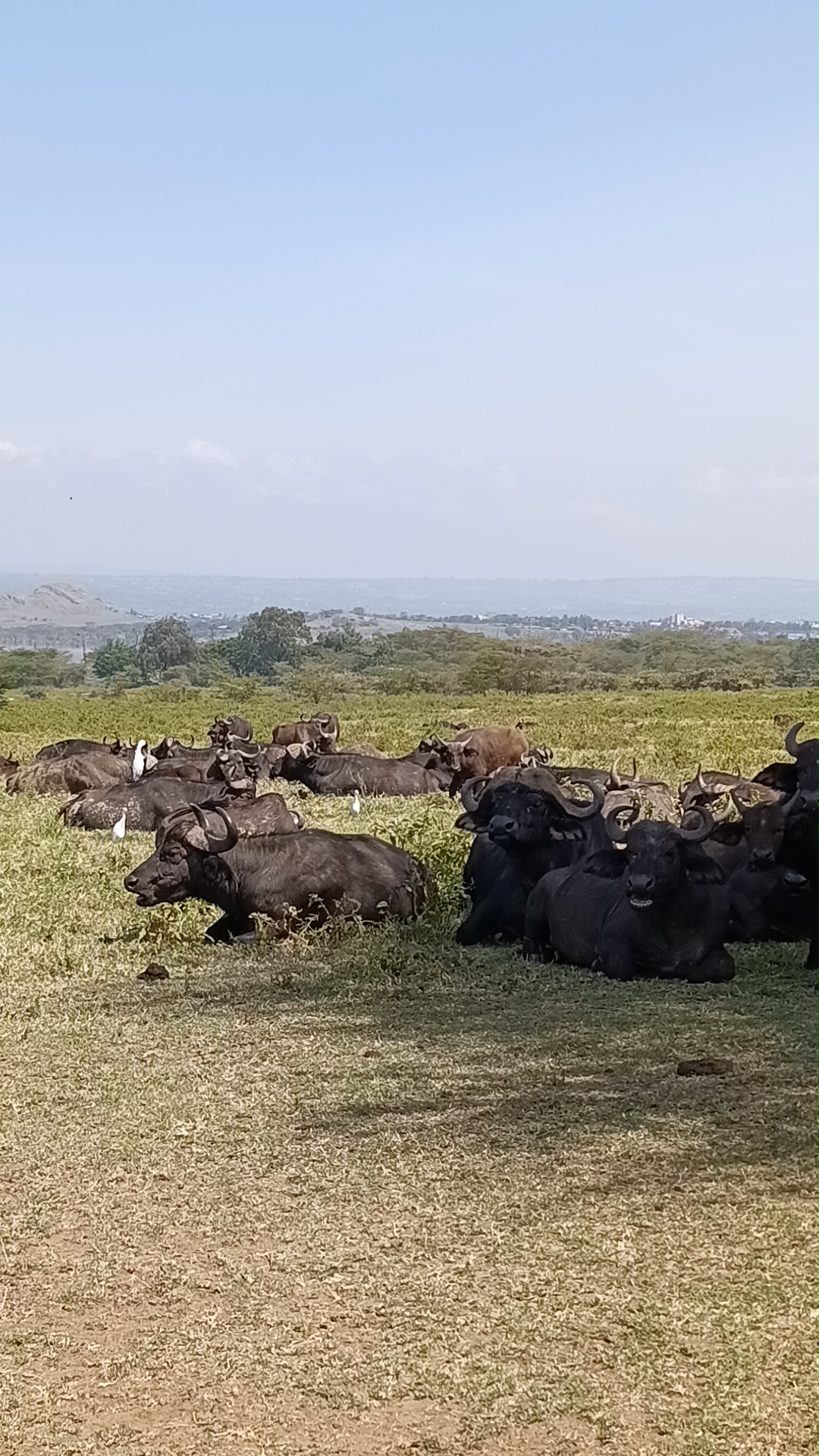 Mbiti Africa Safaris