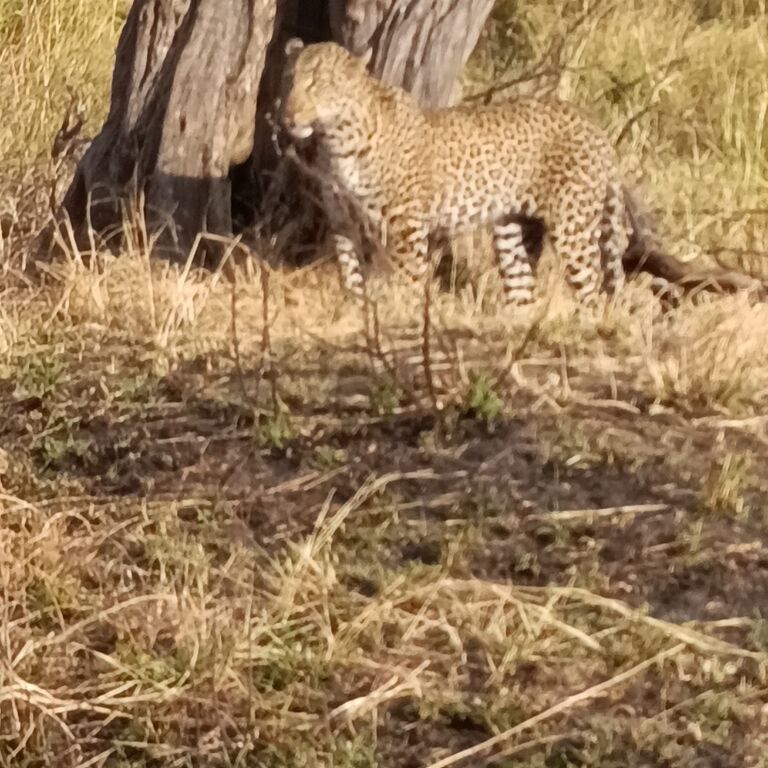 Mbiti Africa Safaris