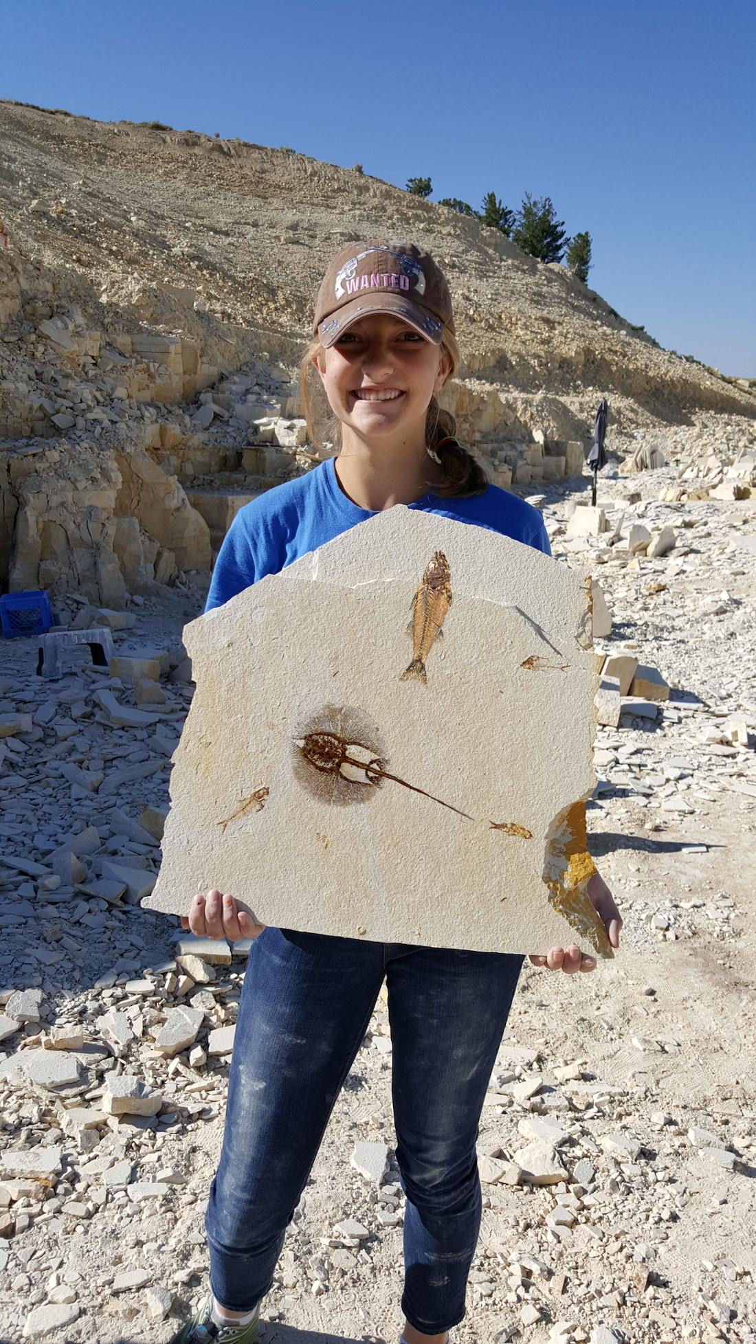 American Fossil