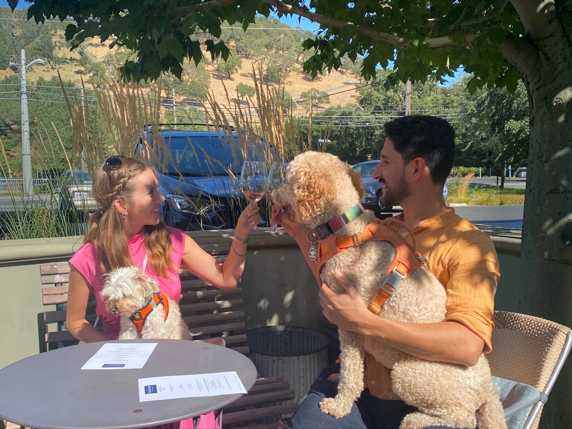 Dog Friendly Wine Tours
