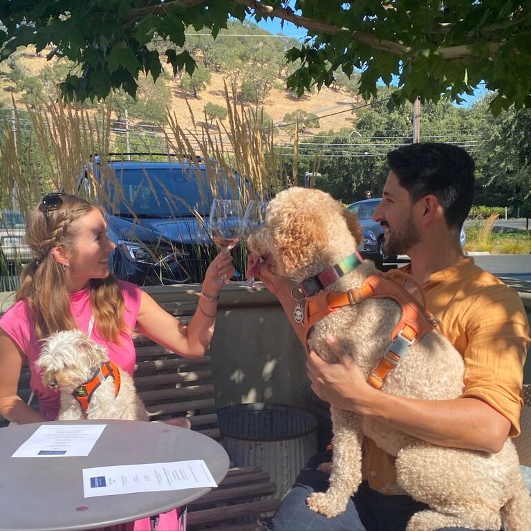 Dog Friendly Wine Tours