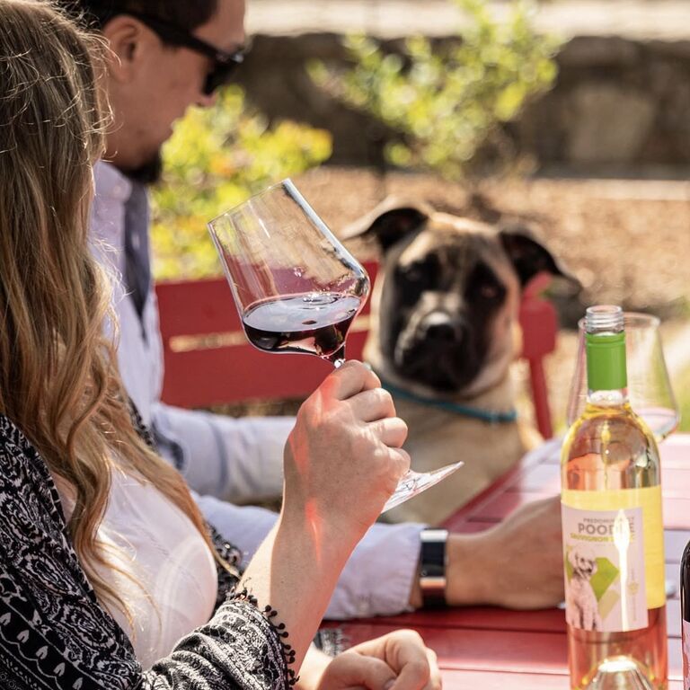 Dog Friendly Wine Tours