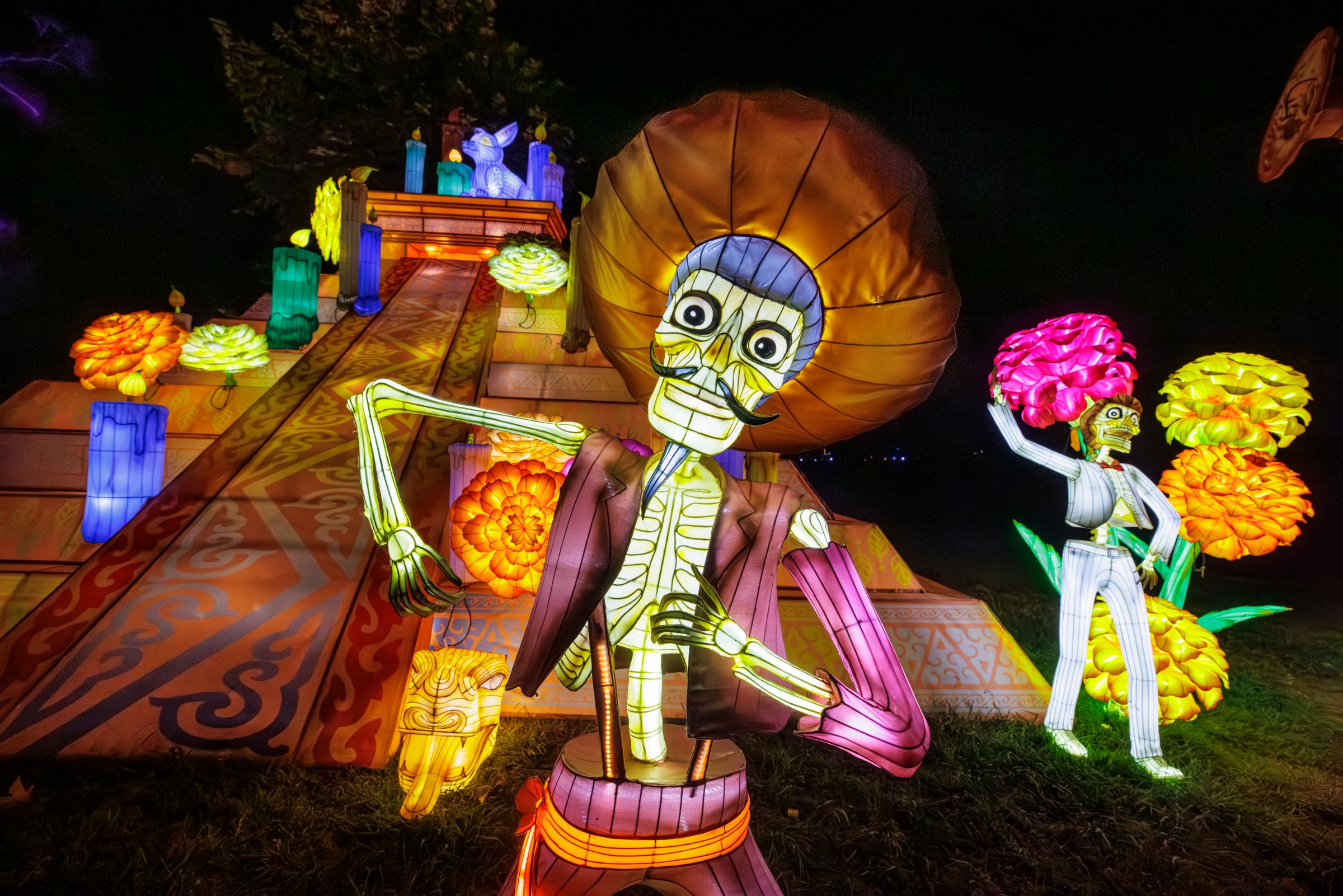Night of the Jack