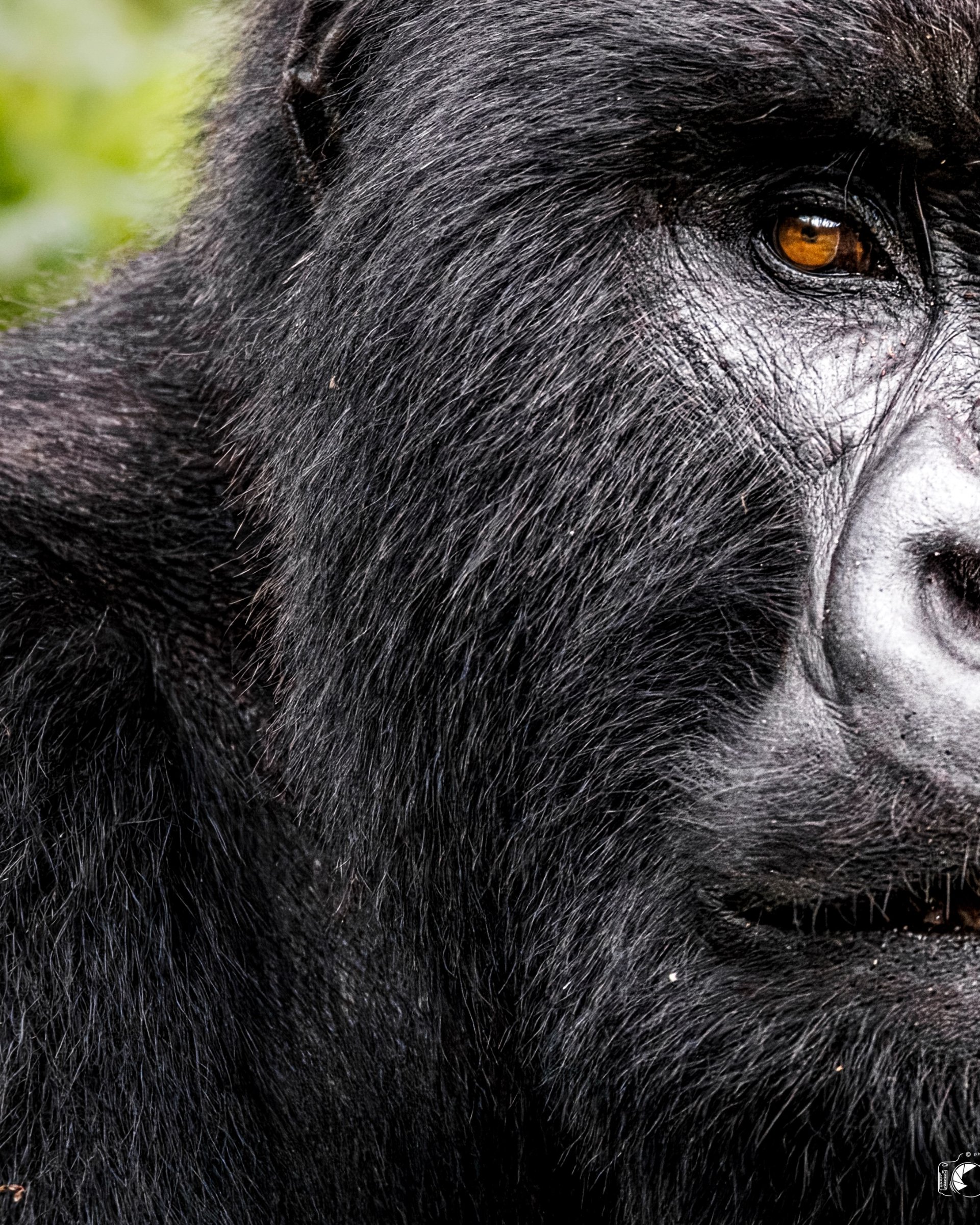 SIRRO SAFARIS UGANDA