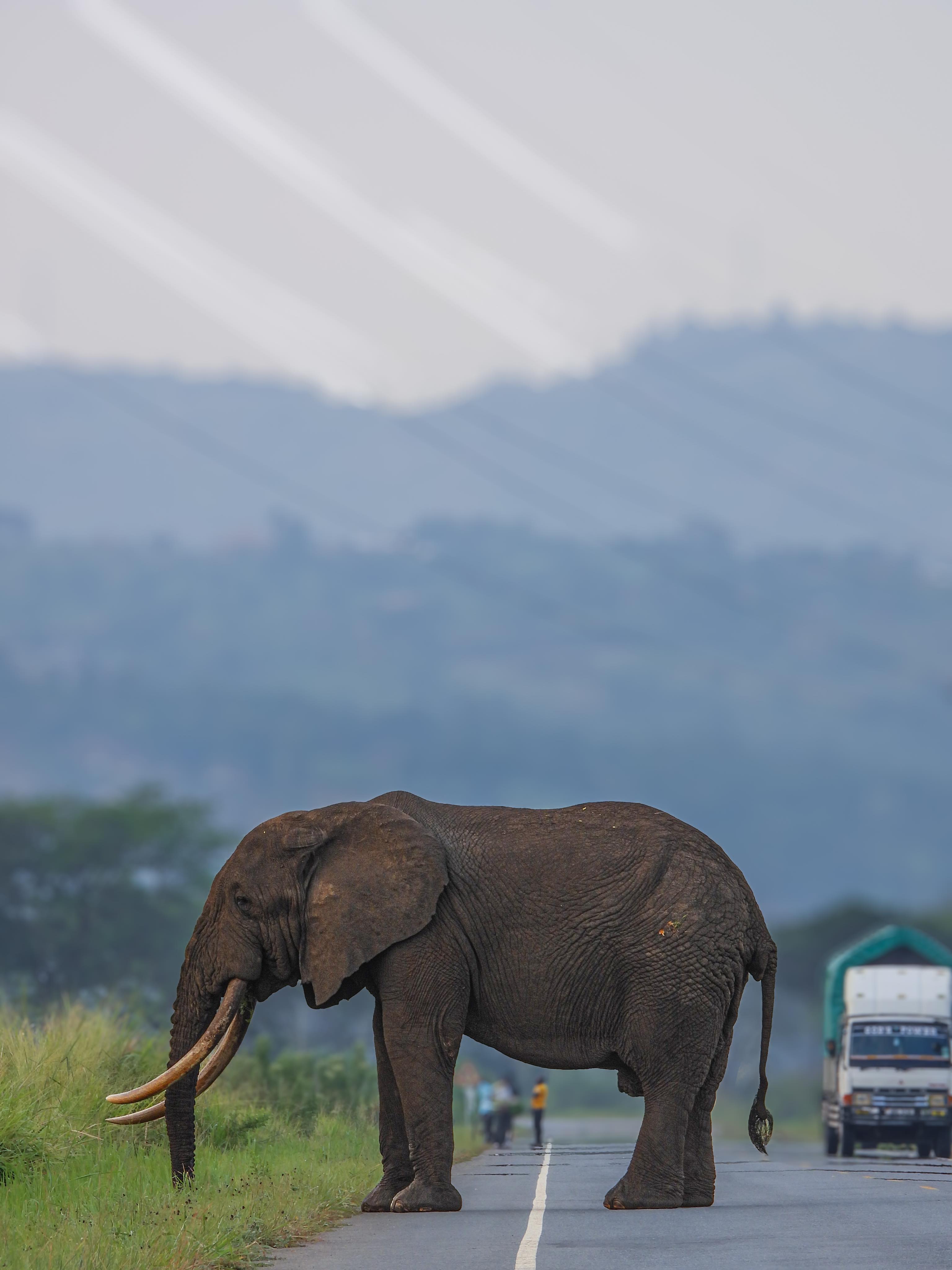 SIRRO SAFARIS UGANDA